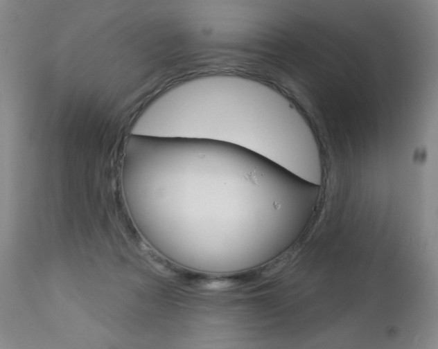 X0000112860313200908211101
