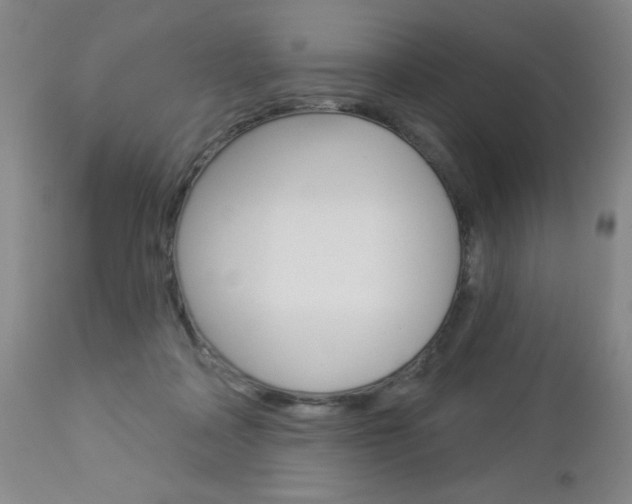 X0000112860314200908211101