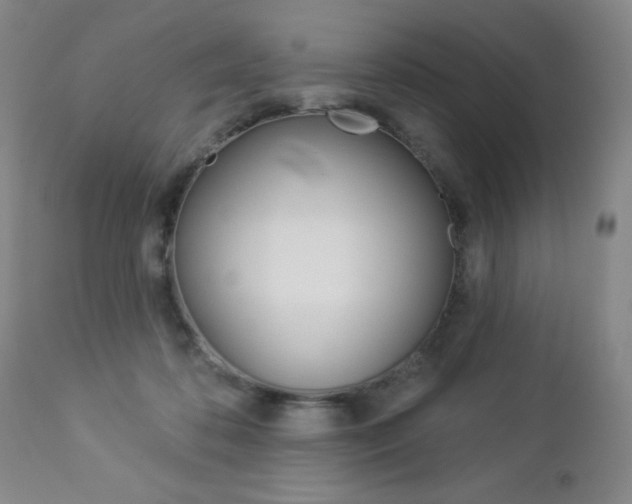 X0000112860316200908211101