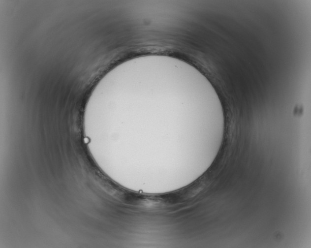 X0000112860317200908211101