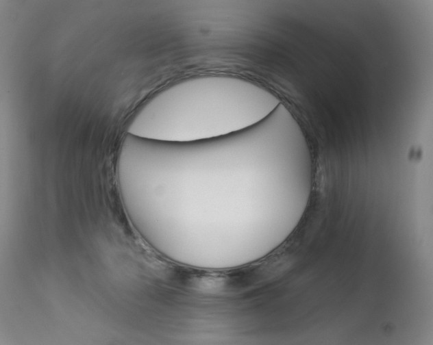 X0000112860318200908211101