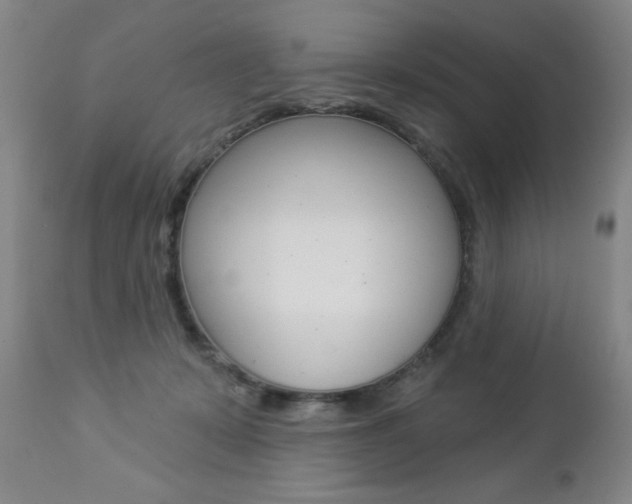 X0000112860319200908211101