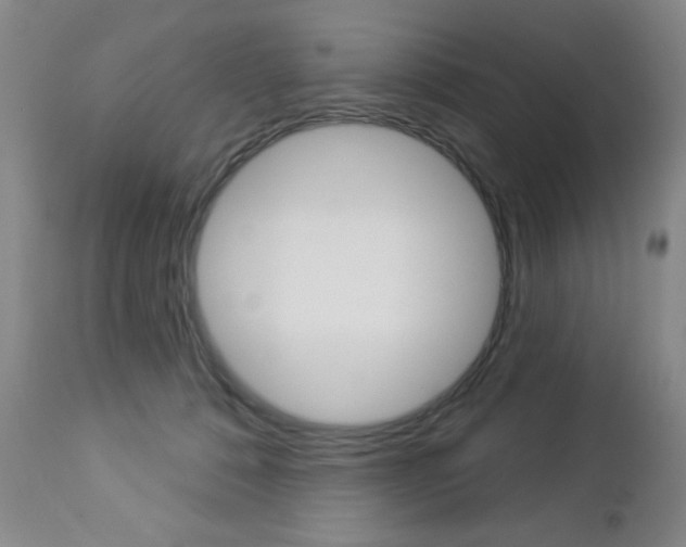 X0000112860320200908211101