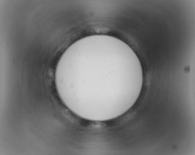 X0000112860321200908211101