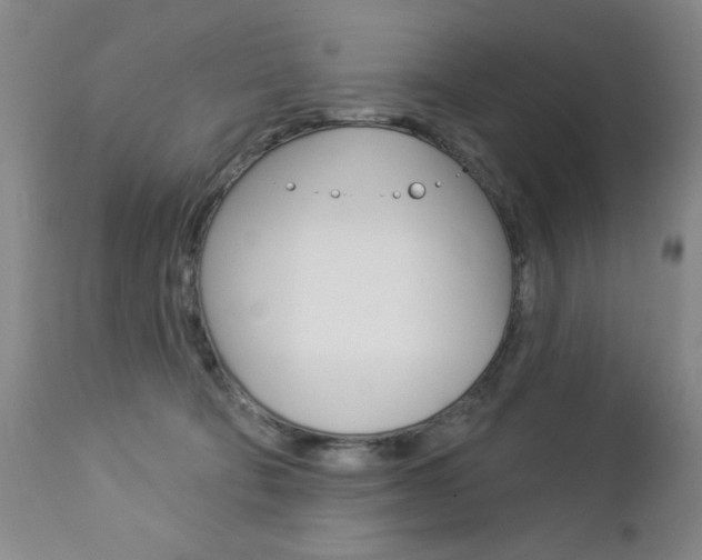 X0000112860322200908211101