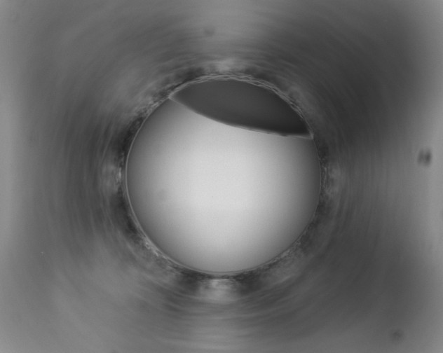 X0000112860324200908211101