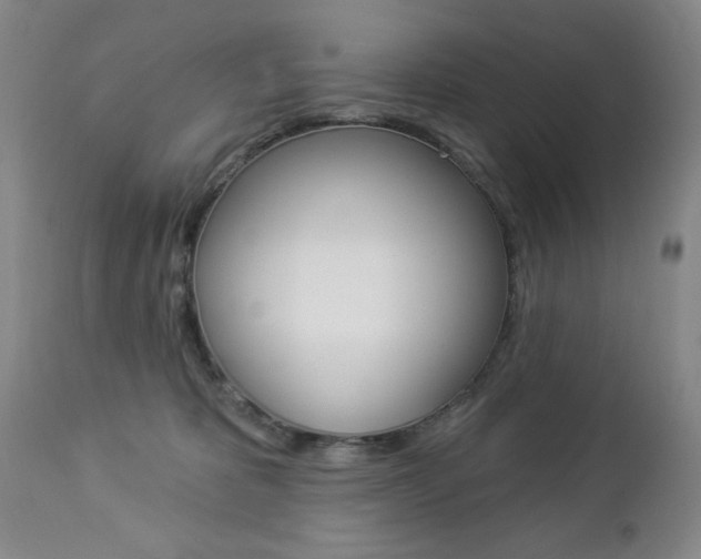 X0000112860325200908211101