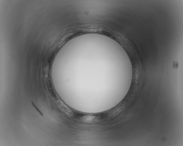 X0000112860326200908211101