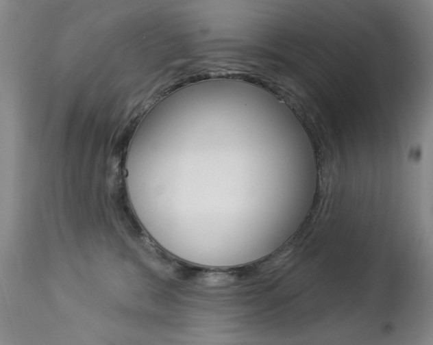 X0000112860327200908211101