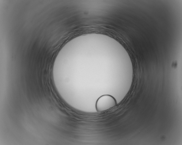 X0000112860328200908211101