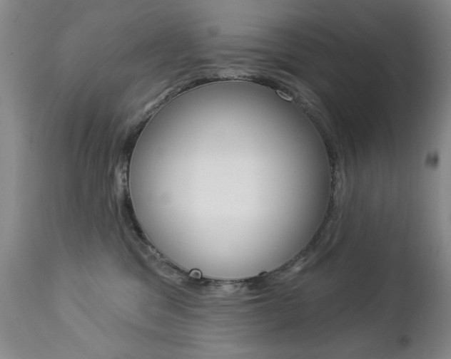 X0000112860329200908211101