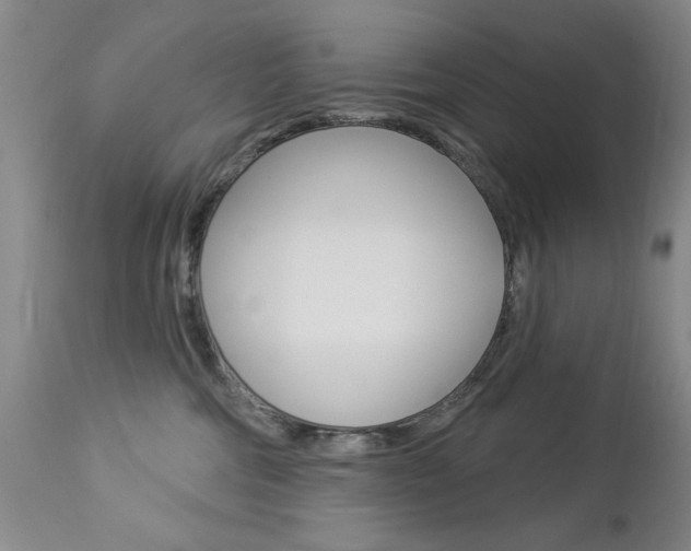 X0000112860330200908211101