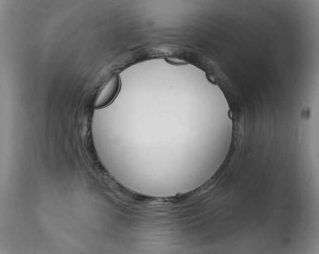 X0000112860331200908211101