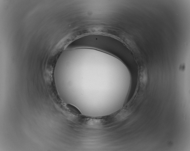 X0000112860332200908211101