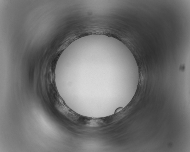 X0000112860334200908211101