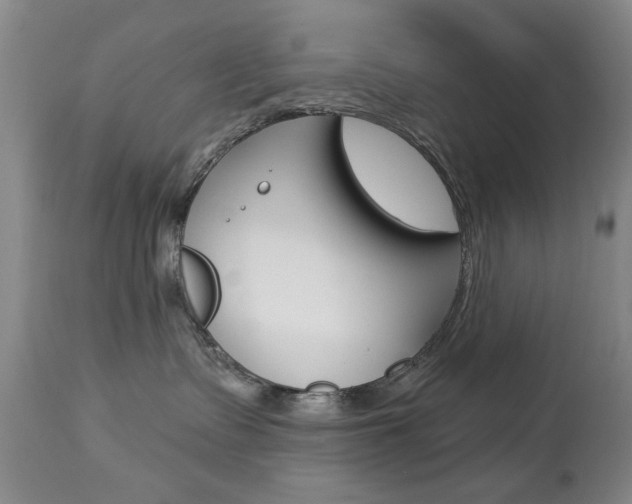 X0000112860335200908211101
