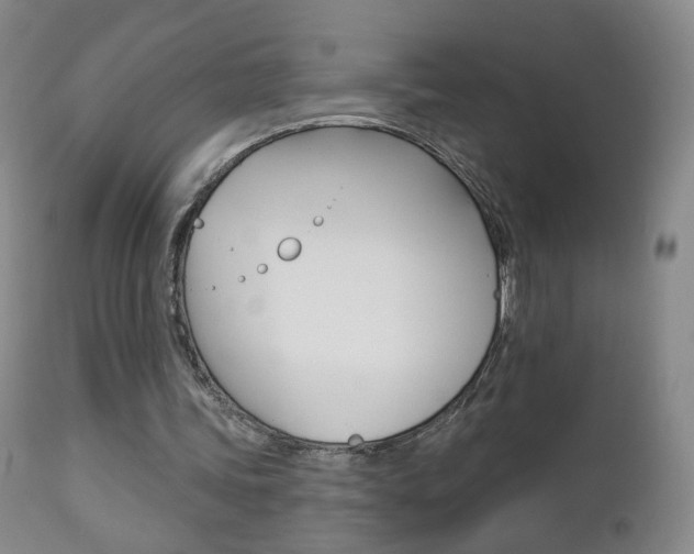 X0000112860339200908211100