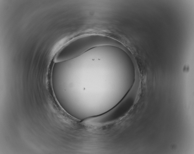 X0000112860340200908211100