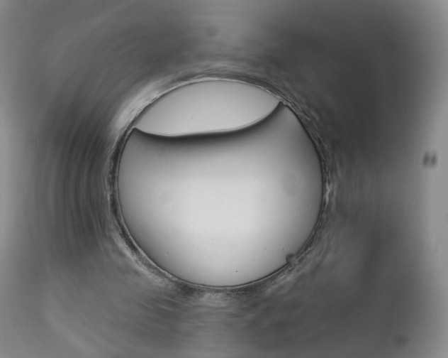 X0000112860341200908211100