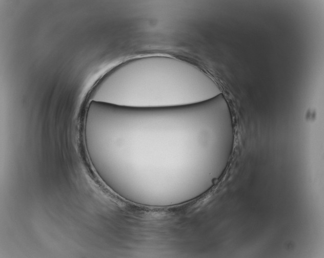 X0000112860342200908211100