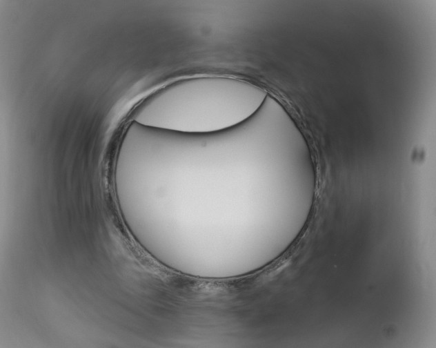 X0000112860343200908211100