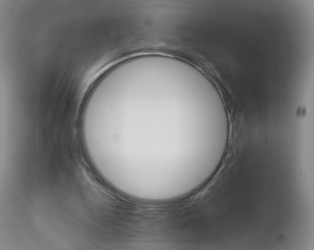 X0000112860344200908211100