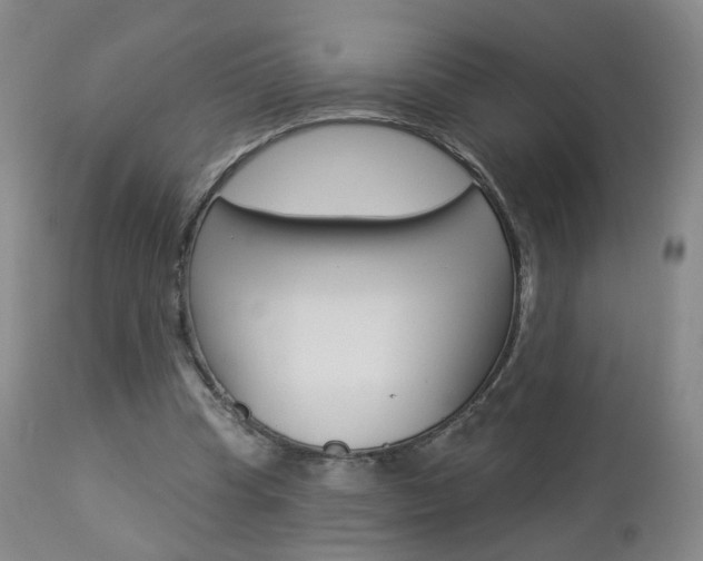 X0000112860345200908211100