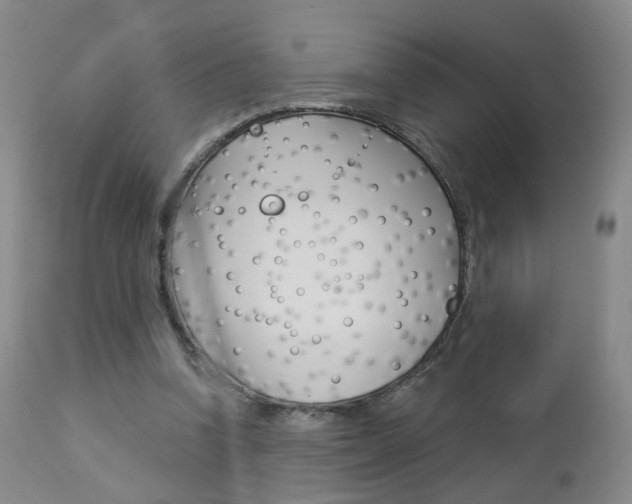 X0000112860346200908211100