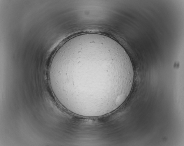 X0000112860347200908211100