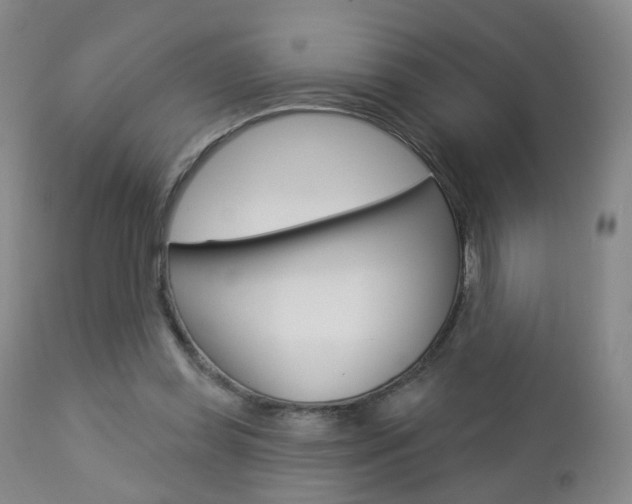 X0000112860349200908211100