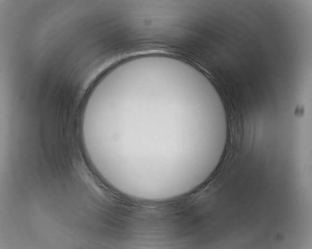 X0000112860350200908211100