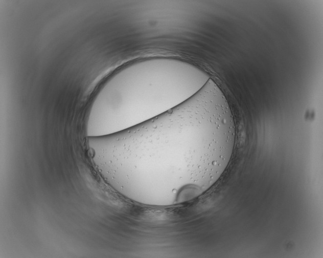 X0000112860351200908211100