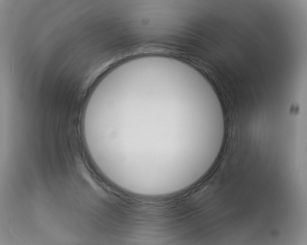 X0000112860352200908211100