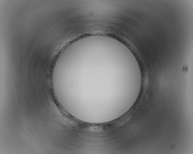 X0000112860353200908211100