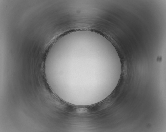 X0000112860355200908211101