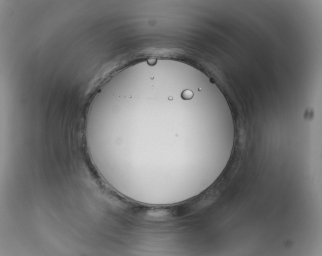 X0000112860357200908211101