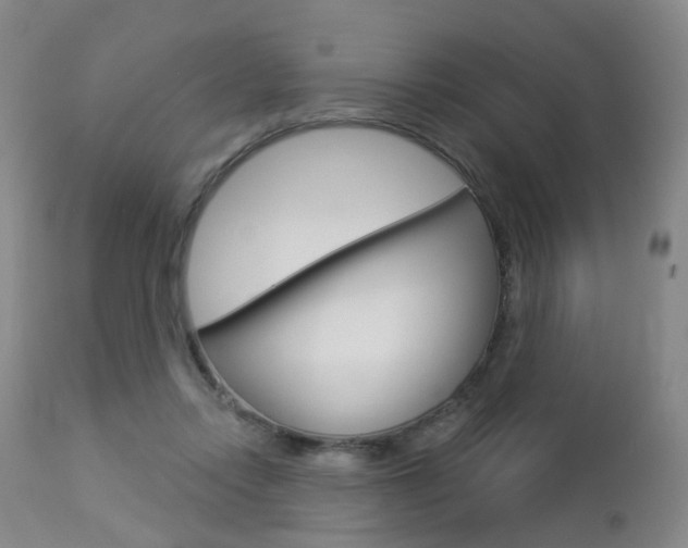 X0000112860358200908211101