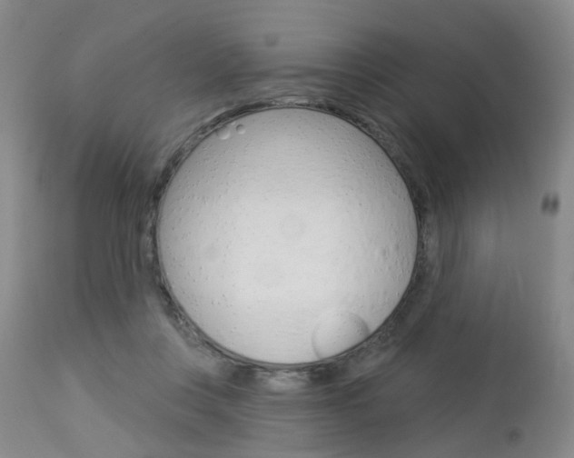 X0000112860359200908211101