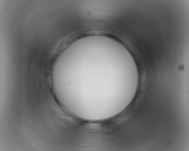 X0000112860361200908211101
