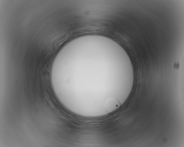 X0000112860364200908211101