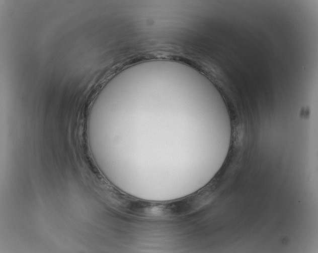 X0000112860365200908211101