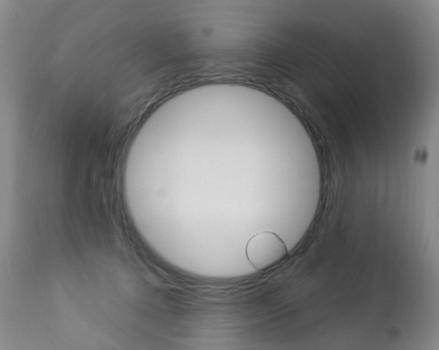 X0000112860368200908211101
