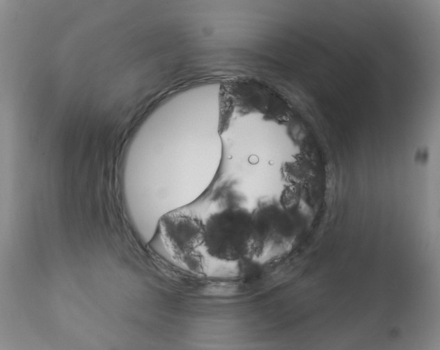 X0000112860369200908211101