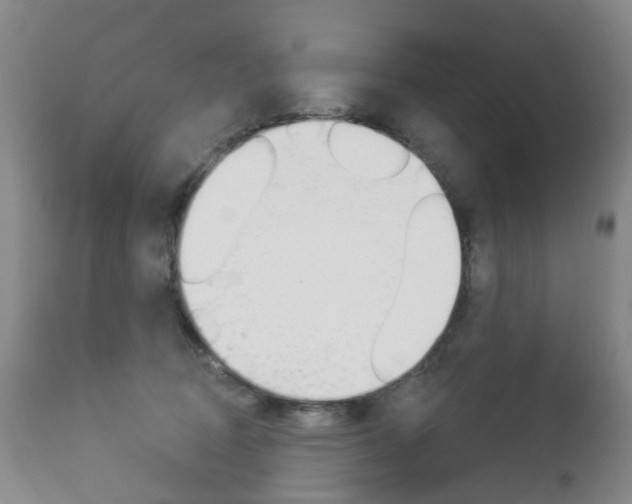 X0000112860370200908211101