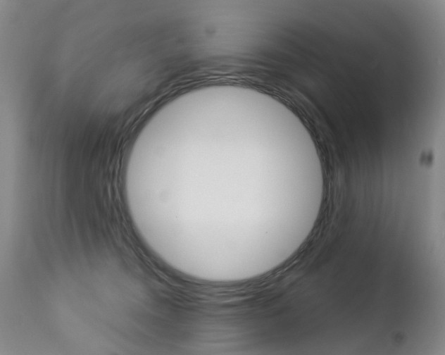 X0000112860372200908211101
