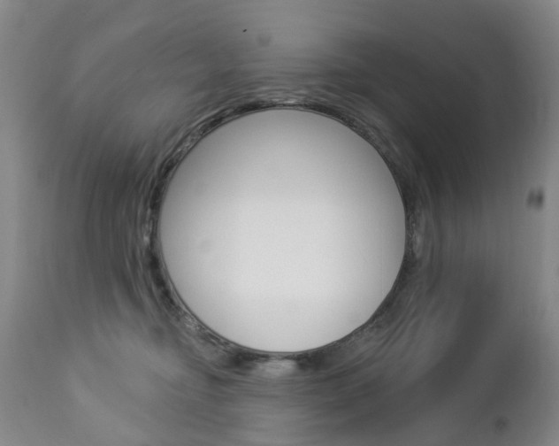 X0000112860374200908211101