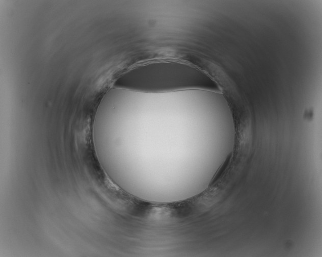 X0000112860376200908211101