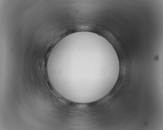 X0000112860377200908211101