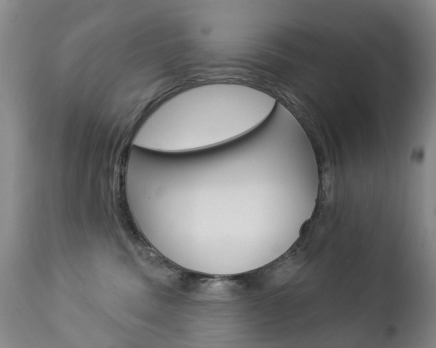 X0000112860379200908211101
