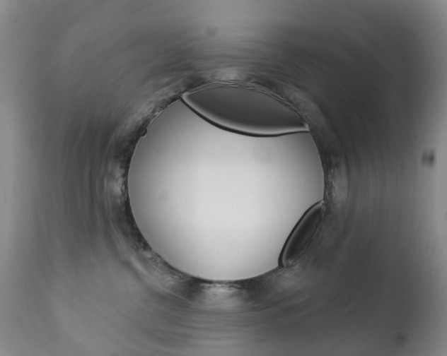 X0000112860380200908211101
